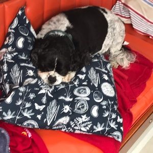 Meet your Posher, Aileen